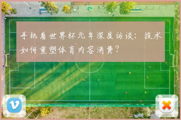 手机看世界杯元年深度访谈：技术如何重塑体育内容消费？