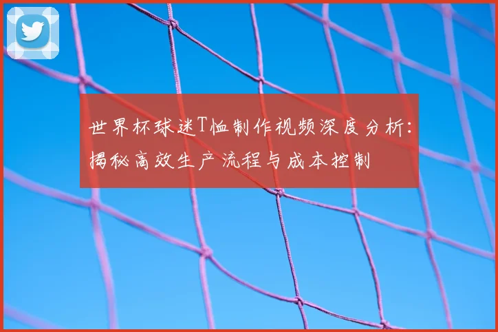 世界杯球迷T恤制作视频深度分析：揭秘高效生产流程与成本控制