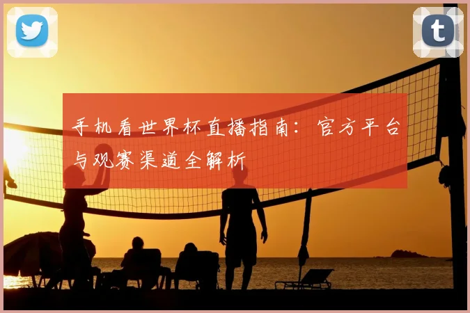手机看世界杯直播指南：官方平台与观赛渠道全解析