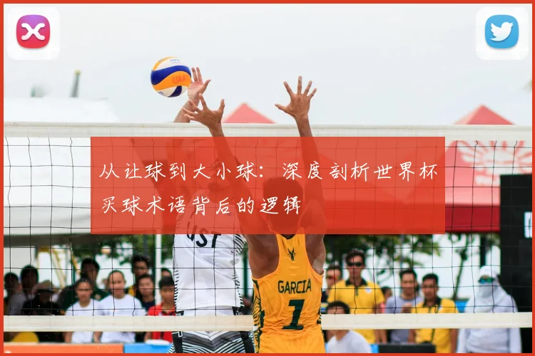 从让球到大小球:深度剖析世界杯买球术语背后的逻辑