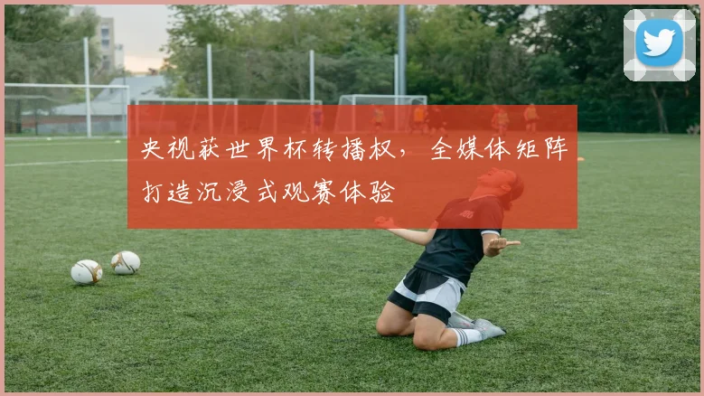 央视获世界杯转播权,全媒体矩阵打造沉浸式观赛体验