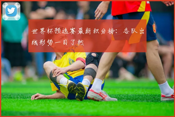 世界杯预选赛最新积分榜：各队出线形势一目了然