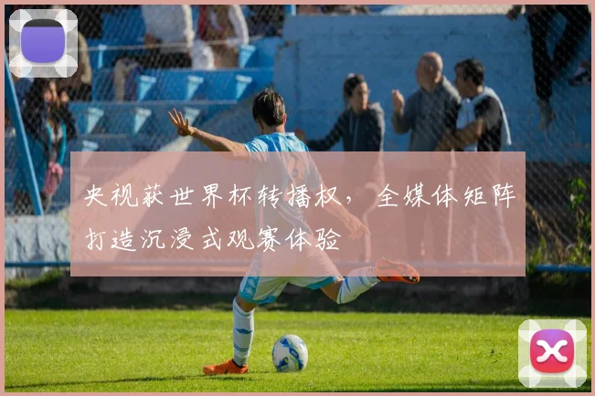 央视获世界杯转播权,全媒体矩阵打造沉浸式观赛体验